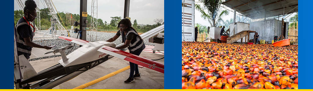 Covid-19 test samples are loaded onto a drone in Ghana for delivery to a lab; farmer walks near a pile of rotting peppers
