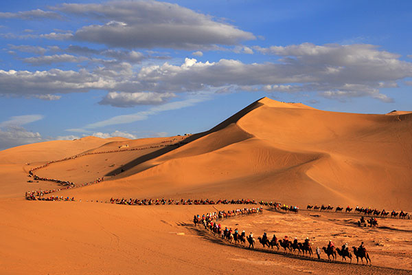 desert camel caravan in Ganzu