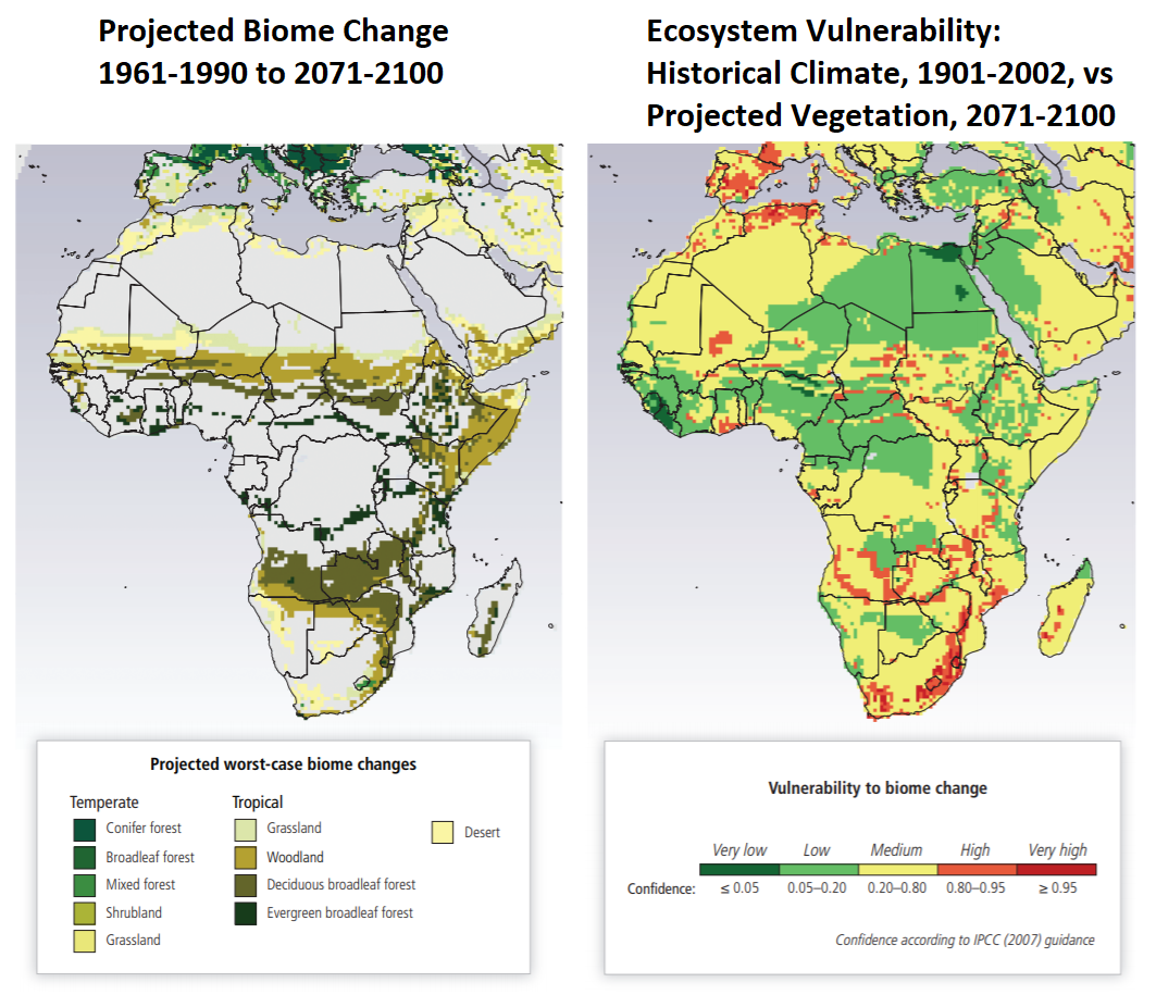 Two maps of Africa: Projected Biome Change 1961-1990 to 2071-2100; Vulnerability of Ecosystems:  Historical Climate, 1901-2002, vs Projected Vegetation, 2071-2100
