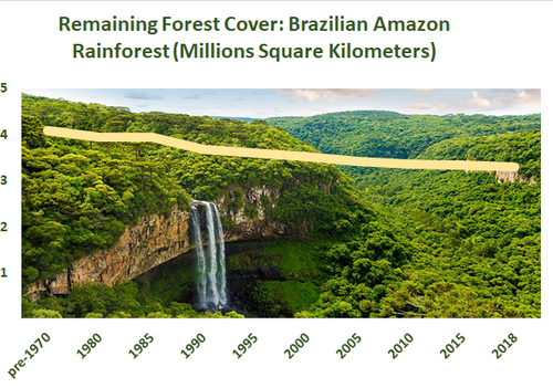 graph showing decline Amazon forest cover since 1970