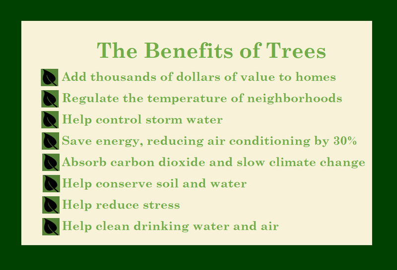 Add thousands of dollars of value to homes Regulate the temperature of neighborhoods Help control storm water Save energy, reducing air conditioning by 30% Absorb carbon dioxide and slow climate change  Help conserve soil and water Help reduce stress Help clean drinking water and air
