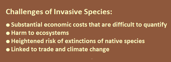   ●Substantial economic costs that are difficult to quantify.  Harm ecosystems. Heighten risk of reduced populations of native species and extinctions. Linked to trade and climate change.