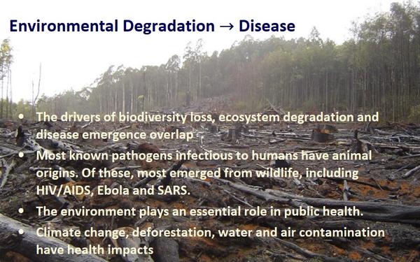  Environmental Degradation → Disease  •	The drivers of biodiversity loss, ecosystem degradation and disease emergence overlap •	Most known pathogens infectious to humans have animal origins. Of these, most emerged from wildlife, including HIV/AIDS, Ebola and SARS. •	The environment plays an essential role in public health. •	Climate change, deforestation, water and air contamination have health impacts.  