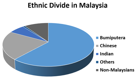  Bumiputera	61.80% Chinese	21.40% Indian	6.40% Others	0.90% Non-Malaysians	9.60%