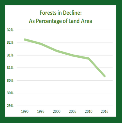World Bank data showing forests as a slowly shrinking percentage of land area