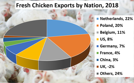  Netherlands, 22%	22% Poland, 20%	20% Belgium, 11%	11% US, 8%	8% Germany, 7%	7% France, 4%	4% China, 3%	3% UK, -2%	2% Others, 24%	24%