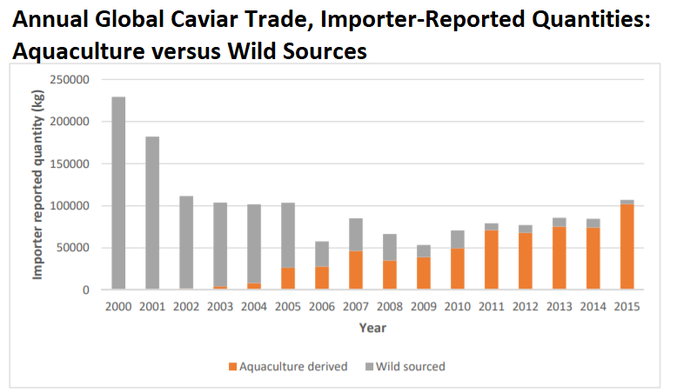 Global caviar totals from WWF showing aquaculture excees wild-caught caviar