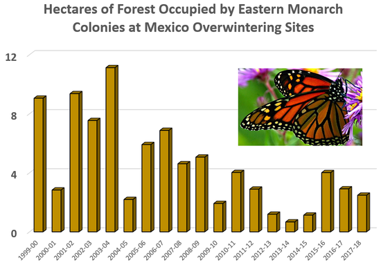 Area Occupied by Eastern Monarch Colonies at Mexico Overwintering Sites	 1999-00	9.05 2000-01	2.83 2001-02	9.36 2002-03	7.54 2003-04	11.12 2004-05	2.19 2005-06	5.91 2006-07	6.87 2007-08	4.61 2008-09	5.06 2009-10	1.92 2010-11	4.02 2011-12	2.89 2012-13	1.19 2013-14	0.67 2014-15	1.13 2015-16	4.01 2016-17	2.91 2017-18	2.48 2018-19	6.05